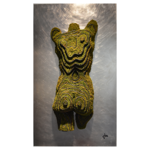Body Landscape